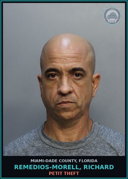 CCW arrest card for REMEDIOS-MORELL, RICHARD in Miami-Dade County: PETIT THEFT