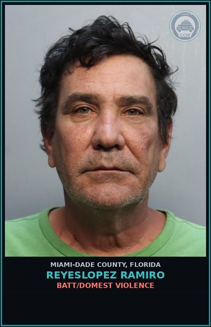 CCW arrest card for REYESLOPEZ RAMIRO in Miami-Dade County: BATT/DOMEST VIOLENCE