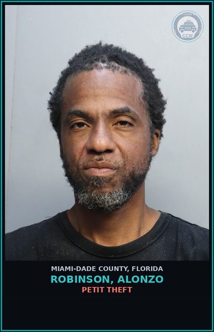 CCW arrest card for ROBINSON, ALONZO in Miami-Dade County: PETIT THEFT