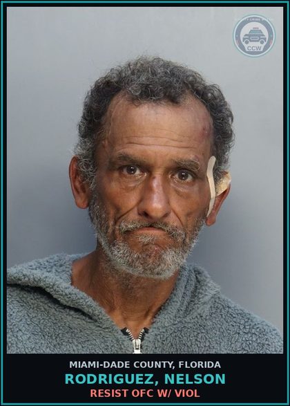 CCW arrest card for RODRIGUEZ, NELSON in Miami-Dade County: RESIST OFC W/ VIOL