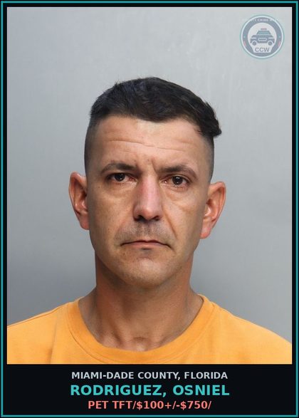 CCW arrest card for RODRIGUEZ, OSNIEL in Miami-Dade County: PET TFT/$100+/-$750/