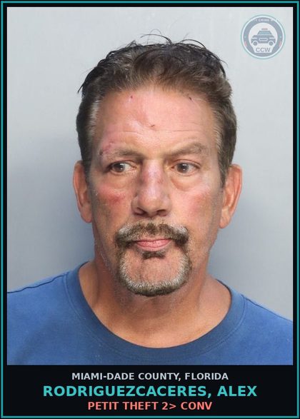 CCW arrest card for RODRIGUEZCACERES, ALEX in Miami-Dade County: PETIT THEFT 2> CONV