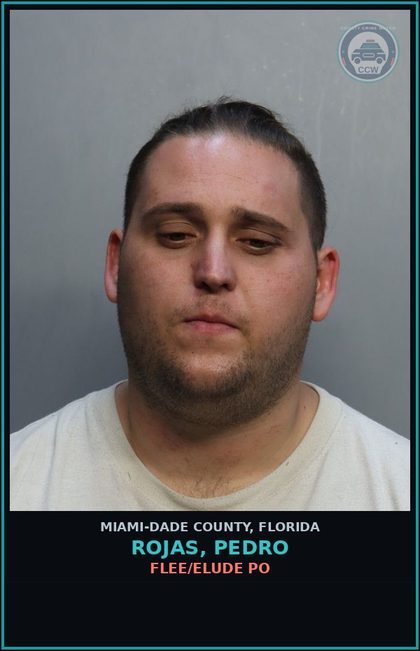 CCW arrest card for ROJAS, PEDRO in Miami-Dade County: FLEE/ELUDE PO