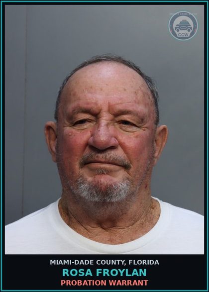 CCW arrest card for ROSA FROYLAN in Miami-Dade County: PROBATION WARRANT