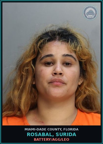 CCW arrest card for ROSABAL, SURIDA in Miami-Dade County: BATTERY/AGG/LEO