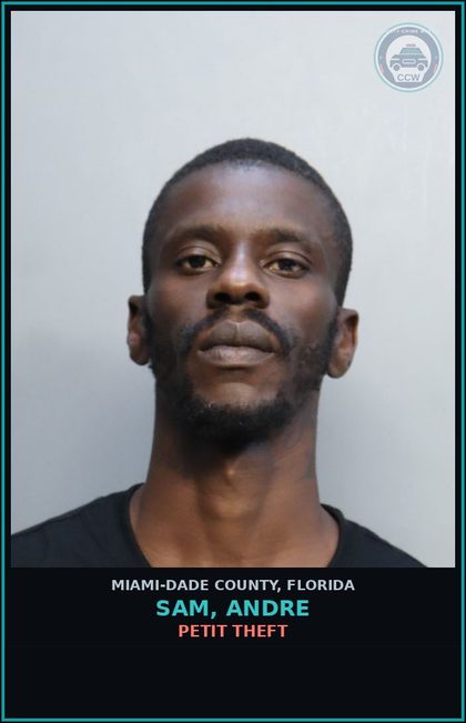 CCW arrest card for SAM, ANDRE in Miami-Dade County: PETIT THEFT