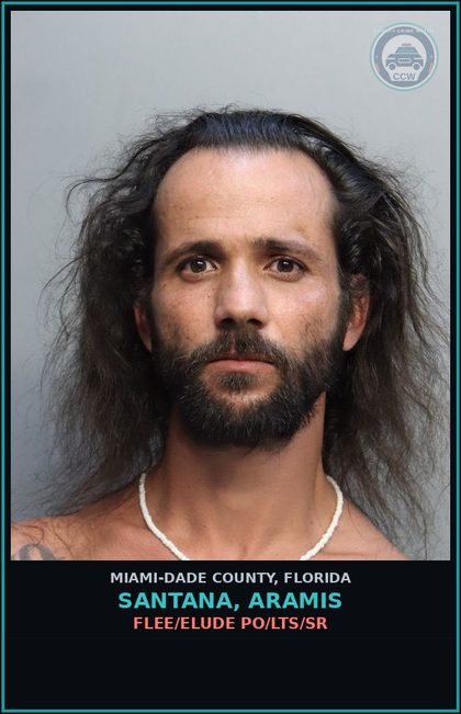 CCW arrest card for SANTANA, ARAMIS in Miami-Dade County: FLEE/ELUDE PO/LTS/SR