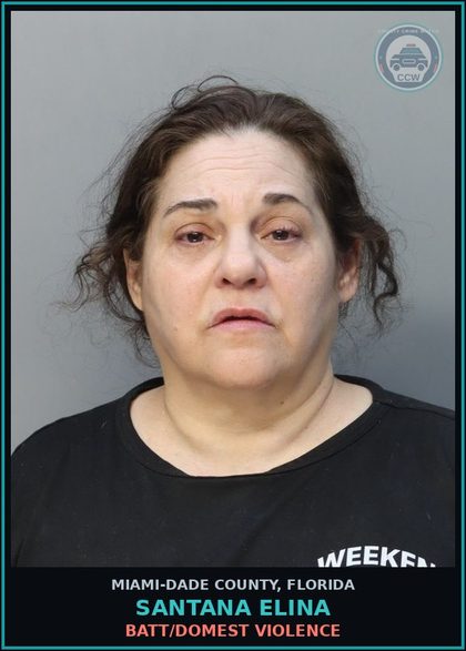 CCW arrest card for SANTANA ELINA in Miami-Dade County: BATT/DOMEST VIOLENCE