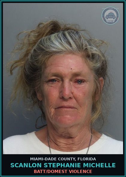 CCW arrest card for SCANLON STEPHANIE  MICHELLE in Miami-Dade County: BATT/DOMEST VIOLENCE