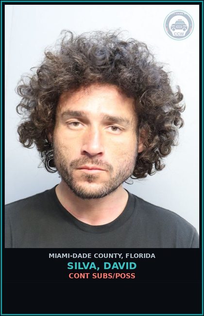 CCW arrest card for SILVA, DAVID in Miami-Dade County: CONT SUBS/POSS
