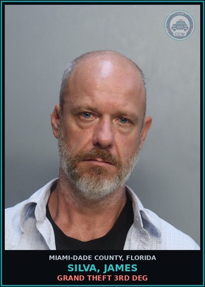 CCW arrest card for SILVA, JAMES in Miami-Dade County: ORGANIZED FRD/0-20K