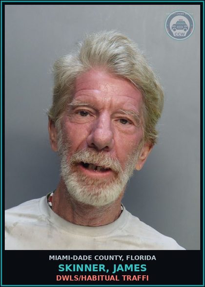 CCW arrest card for SKINNER, JAMES in Miami-Dade County: DWLS/HABITUAL TRAFFI