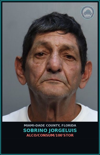 CCW arrest card for SOBRINO JORGELUIS in Miami-Dade County: ALCO/CONSUM/100'STOR
