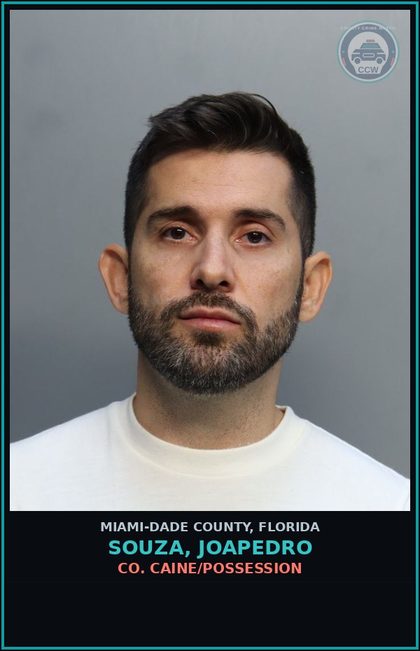 CCW arrest card for SOUZA, JOAPEDRO in Miami-Dade County: CONT SUBS/POSS