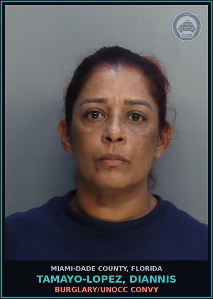 CCW arrest card for TAMAYO-LOPEZ, DIANNIS in Miami-Dade County: BURGLARY/UNOCC CONVY