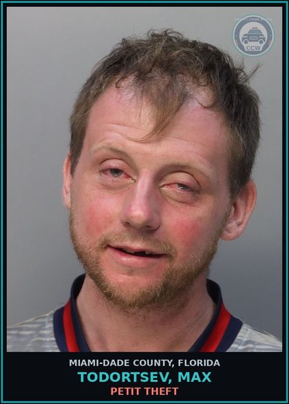 CCW arrest card for TODORTSEV, MAX in Miami-Dade County: PETIT THEFT
