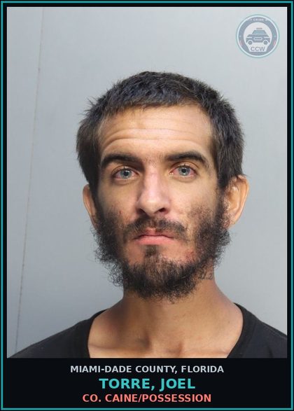 CCW arrest card for TORRE, JOEL in Miami-Dade County: COCAINE/POSSESSION