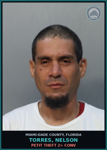 CCW arrest card for TORRES, NELSON in Miami-Dade County: PETIT THEFT 2> CONV