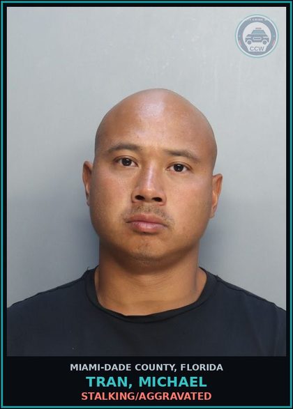 CCW arrest card for TRAN, MICHAEL in Miami-Dade County: STALKING/AGGRAVATED