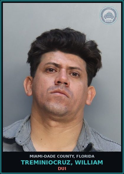 CCW arrest card for TREMINIOCRUZ, WILLIAM in Miami-Dade County: DUI