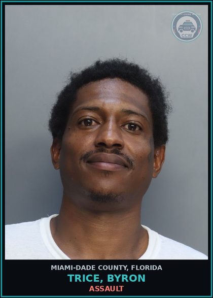 CCW arrest card for TRICE, BYRON in Miami-Dade County: PET TFT/$100+/-$750/