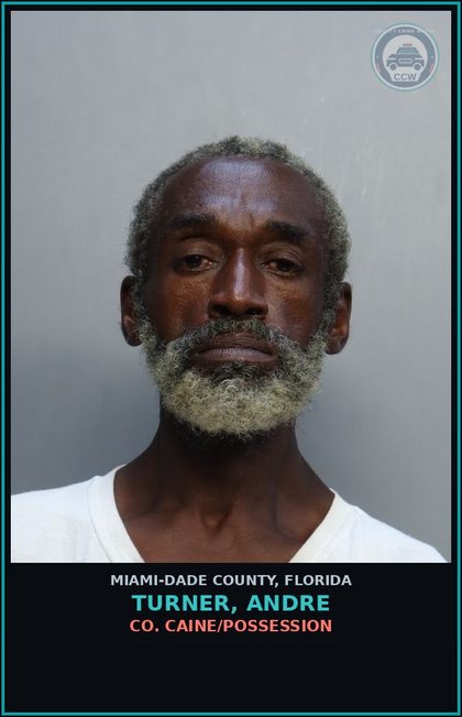 CCW arrest card for TURNER, ANDRE in Miami-Dade County: COCAINE/POSSESSION
