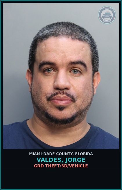 CCW arrest card for VALDES, JORGE in Miami-Dade County: GRD THEFT/3D/VEHICLE