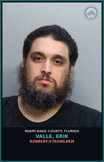 CCW arrest card for VALLE, ERIK in Miami-Dade County: ROBBERY/STRONGARM