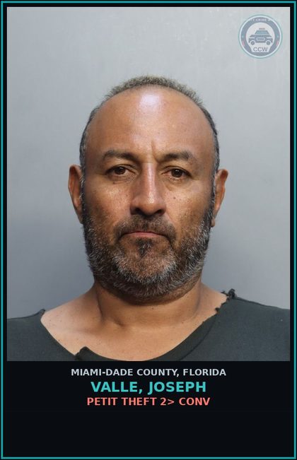 CCW arrest card for VALLE, JOSEPH in Miami-Dade County: PETIT THEFT 2> CONV