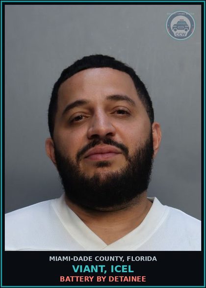CCW arrest card for VIANT, ICEL in Miami-Dade County: BATTERY BY DETAINEE