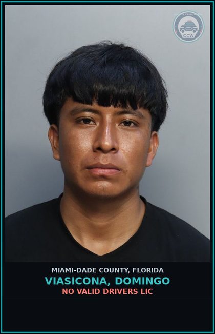 CCW arrest card for VIASICONA, DOMINGO in Miami-Dade County: NO VALID DRIVERS LIC