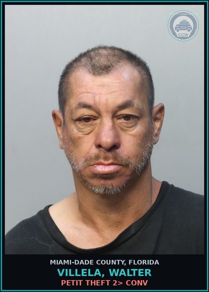 CCW arrest card for VILLELA, WALTER in Miami-Dade County: PETIT THEFT 2> CONV