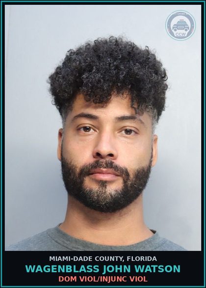 CCW arrest card for WAGENBLASS JOHN  WATSON in Miami-Dade County: DOM VIOL/INJUNC VIOL