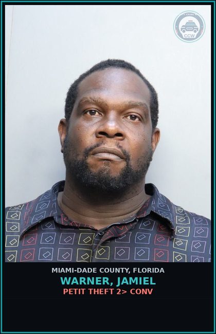 CCW arrest card for WARNER, JAMIEL in Miami-Dade County: PETIT THEFT 2> CONV
