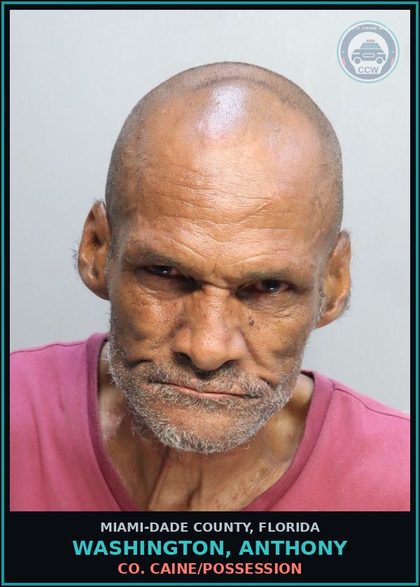 CCW arrest card for WASHINGTON, ANTHONY in Miami-Dade County: PETIT THEFT 2> CONV