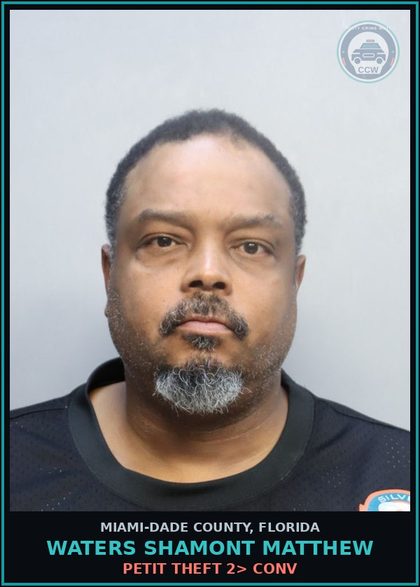 CCW arrest card for WATERS SHAMONT  MATTHEW in Miami-Dade County: PETIT THEFT 2> CONV