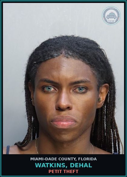 CCW arrest card for WATKINS, DEHAL in Miami-Dade County: PETIT THEFT