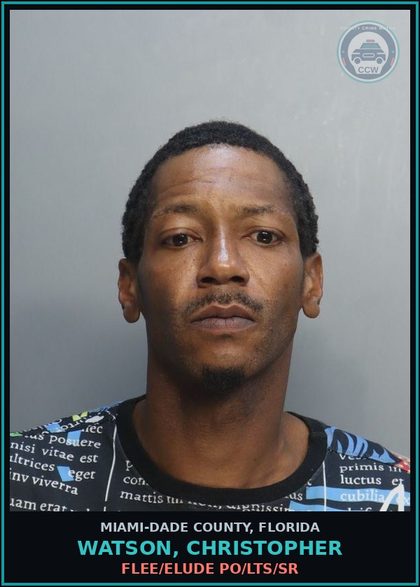 CCW arrest card for WATSON, CHRISTOPHER in Miami-Dade County: FLEE/ELUDE PO/LTS/SR