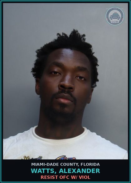 CCW arrest card for WATTS, ALEXANDER in Miami-Dade County: RESIST OFC W/ VIOL