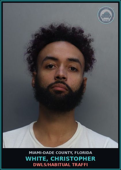 CCW arrest card for WHITE, CHRISTOPHER in Miami-Dade County: DWLS/HABITUAL TRAFFI