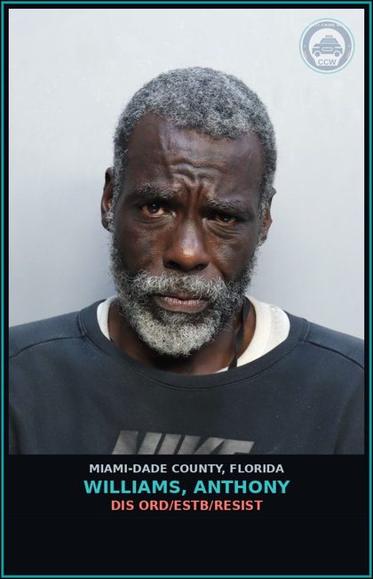 CCW arrest card for WILLIAMS, ANTHONY in Miami-Dade County: DIS ORD/ESTB/RESIST