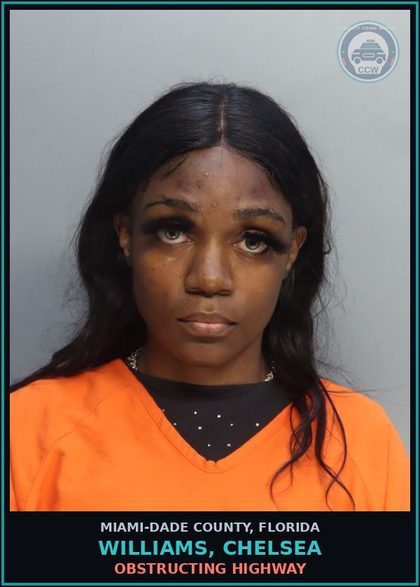 CCW arrest card for WILLIAMS, CHELSEA in Miami-Dade County: OBSTRUCTING HIGHWAY