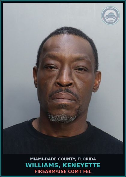 CCW arrest card for WILLIAMS, KENEYETTE in Miami-Dade County: FA/WEAP/POSN/FL FEL