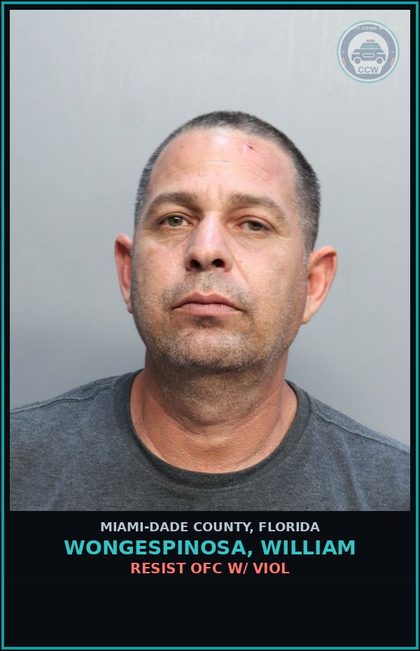 CCW arrest card for WONGESPINOSA, WILLIAM in Miami-Dade County: COKE/SELL/DEL/W/INT