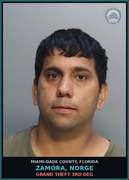 CCW arrest card for ZAMORA, NORGE in Miami-Dade County: GRAND THEFT 3RD DEG