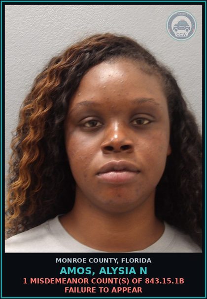 CCW arrest card for AMOS, ALYSIA N in Monroe County: 1 Misdemeanor Count(s) of 843.15.1b FAILURE TO APPEAR
