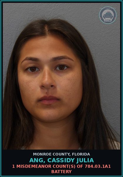 CCW arrest card for ANG, CASSIDY JULIA in Monroe County: 1 Misdemeanor Count(s) of 784.03.1a1 BATTERY