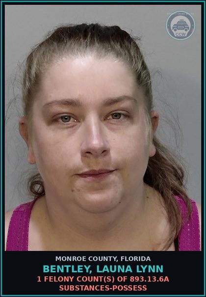 CCW arrest card for BENTLEY, LAUNA LYNN in Monroe County: 1 Felony Count(s) of 893.13.6a DRUGS-POSSESS