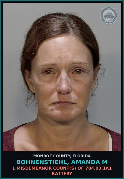 CCW arrest card for BOHNENSTIEHL, AMANDA M in Monroe County: 1 Misdemeanor Count(s) of 784.03.1a1 BATTERY