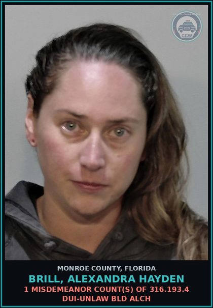 CCW arrest card for BRILL, ALEXANDRA HAYDEN in Monroe County: 1 Misdemeanor Count(s) of 316.193.4 DUI-UNLAW BLD ALCH